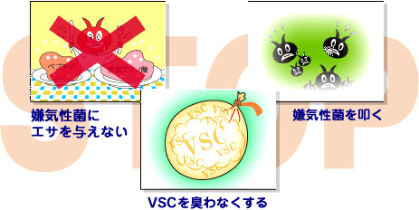 口臭をストップするための3つのポイント